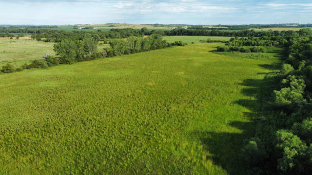 51.19 ACRES 853 RD, PIERCE, NE 68767 - Image 1